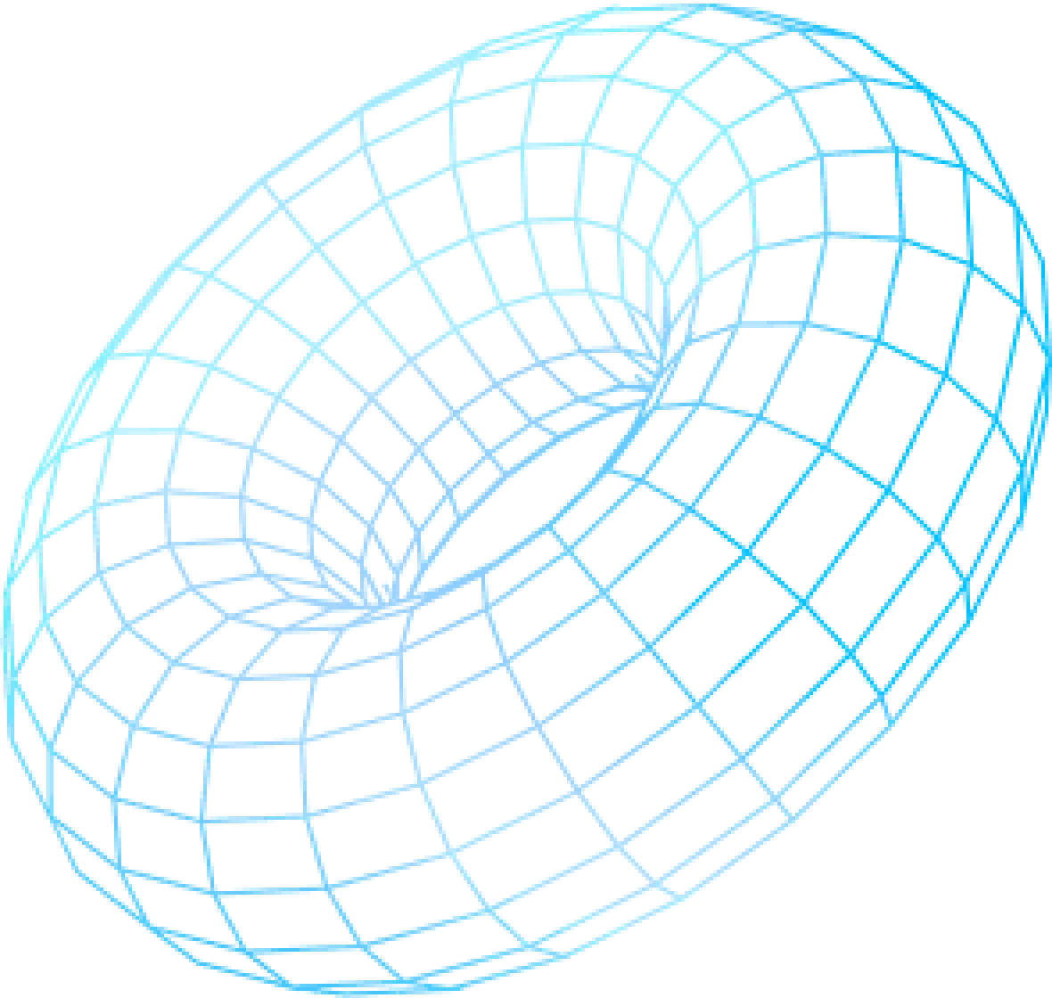 3D wireframe torus