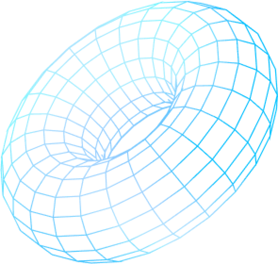 3D wireframe torus